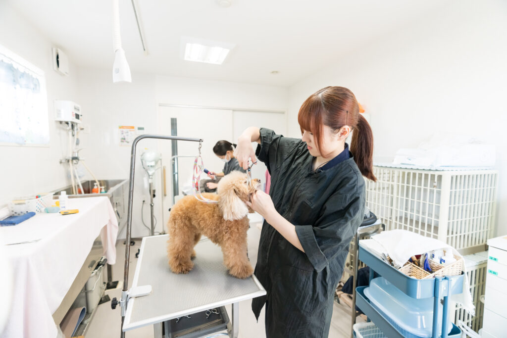 トリミングサービス