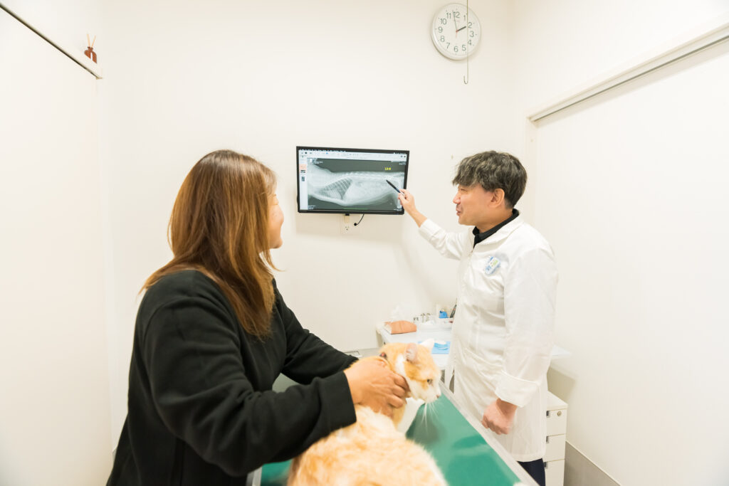 整形外科・腫瘍科・泌尿器科への取り組み