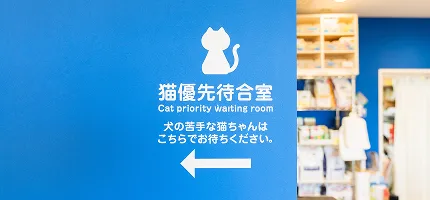 コラムメインビジュアル