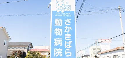 お問い合わせメインビジュアル