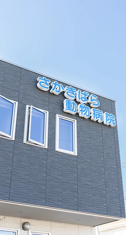 さかきばら動物病院外観