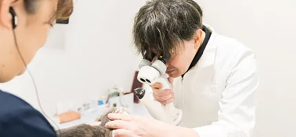 診療案内メインビジュアル