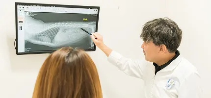 料金案内メインビジュアル