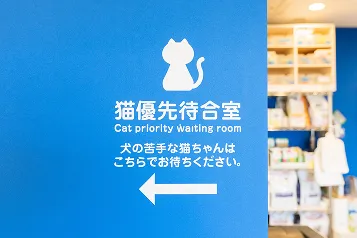 キャットフレンドリー