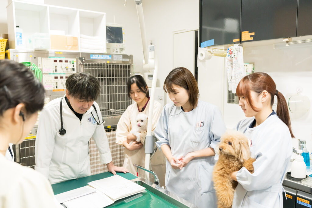 スタッフ紹介②