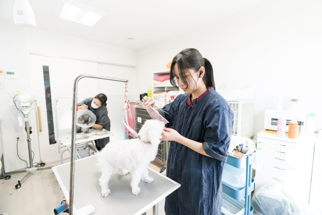 トリミングルーム