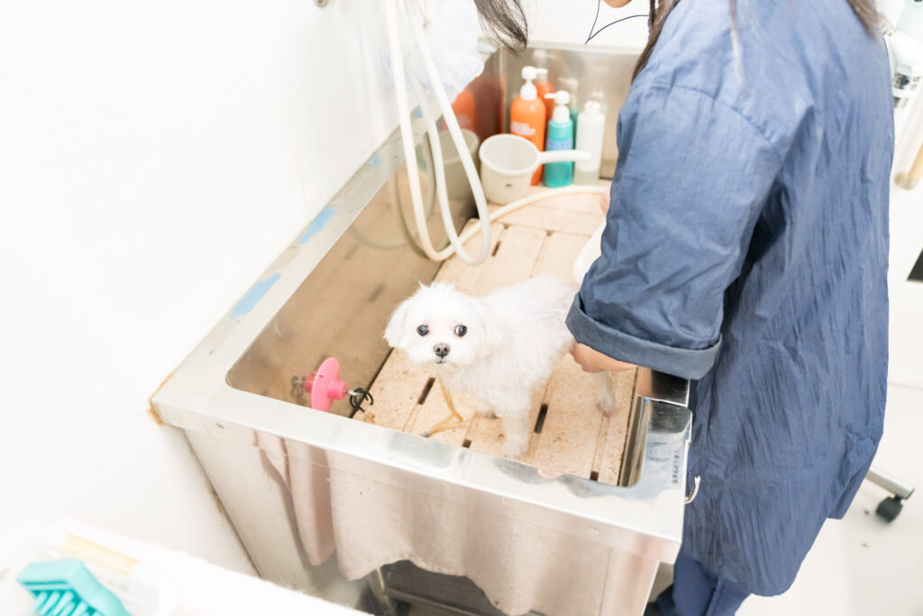 トリミングルーム